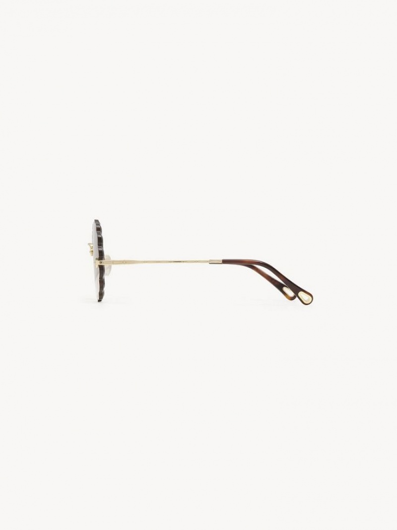 Lentes de Sol Chloe Rosie Petite Marrom | CHE-SR14535