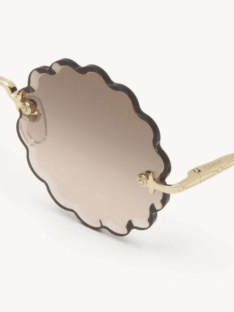Lentes de Sol Chloe Rosie Petite Marrom | CHE-SR14535