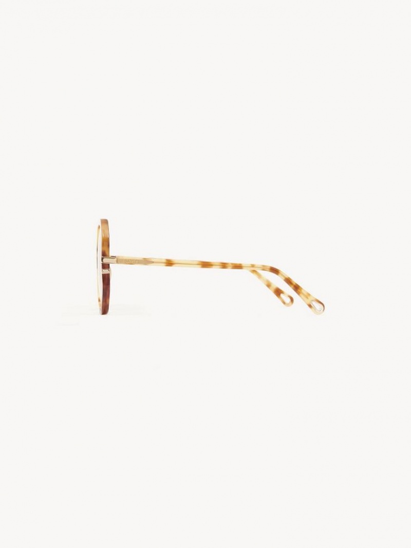 Lentes de Sol Chloe West Havana Patchwork | CHE-SR14547