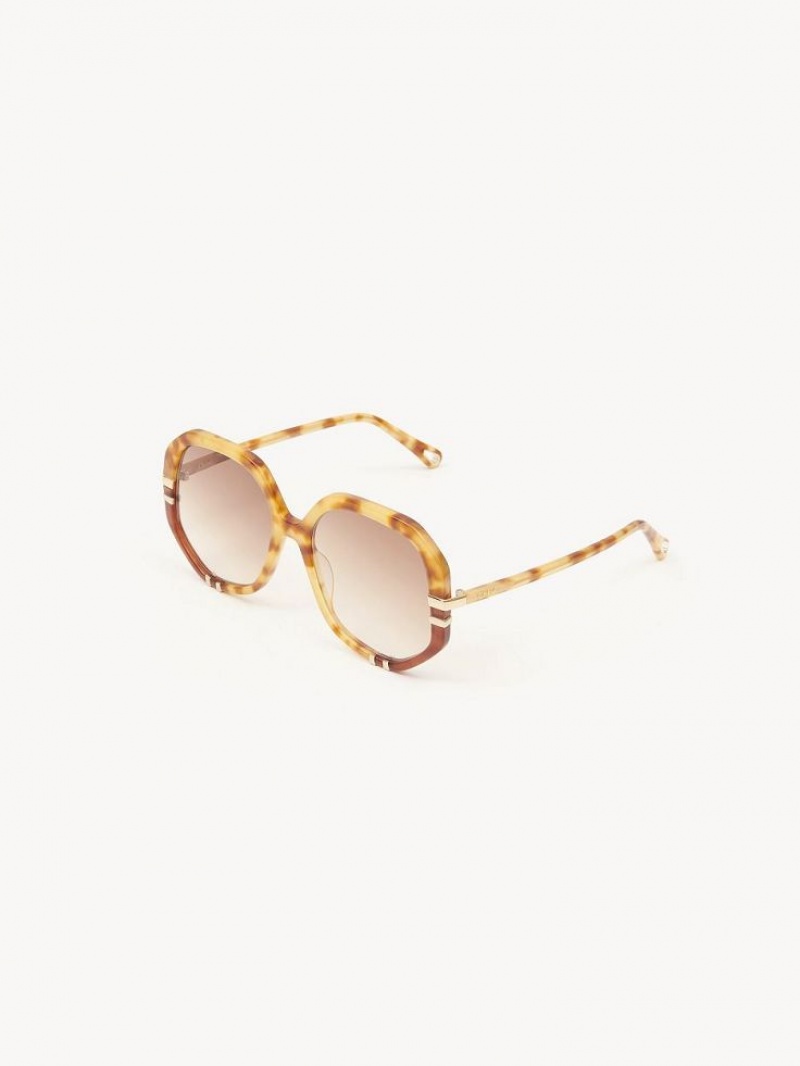 Lentes de Sol Chloe West Havana Patchwork | CHE-SR14547