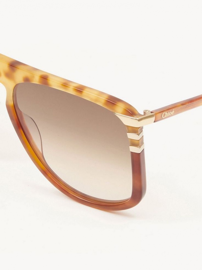 Lentes de Sol Chloe West Havana Patchwork | CHE-SR14564