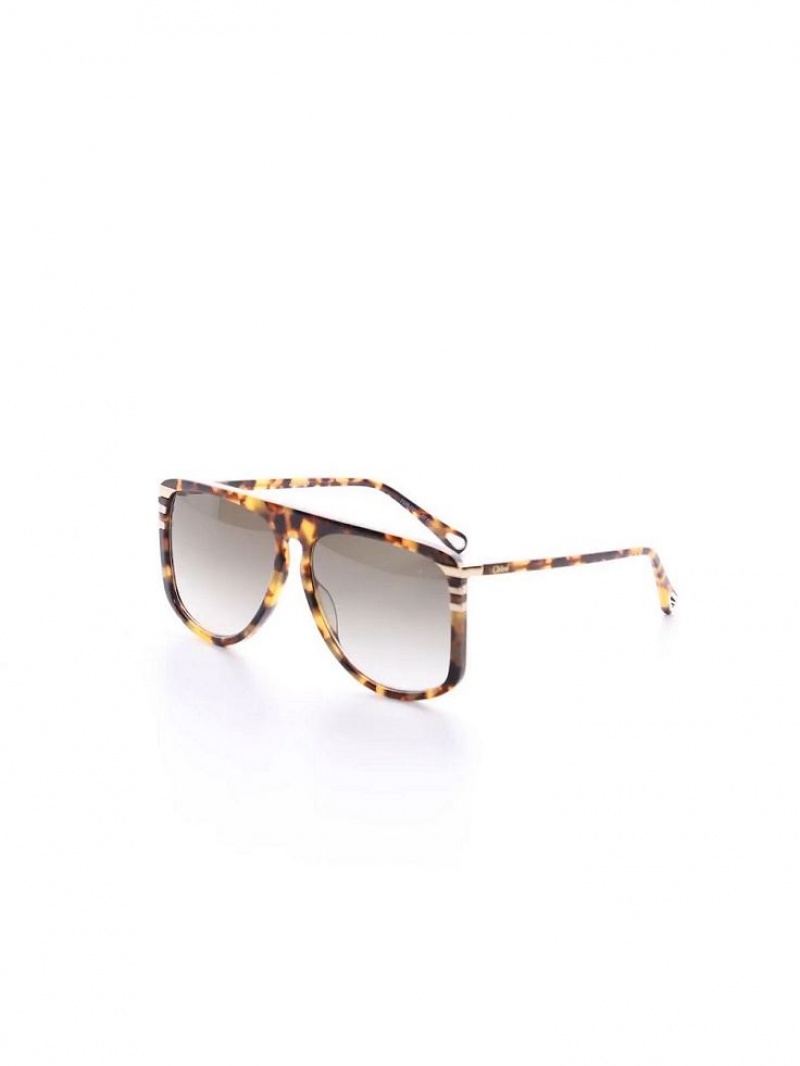 Lentes de Sol Chloe West Havana Patchwork | CHE-SR14564