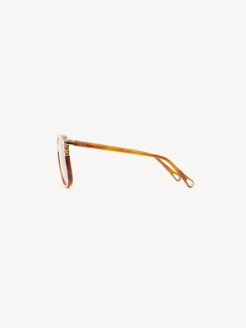 Lentes de Sol Chloe West Havana Patchwork | CHE-SR14564