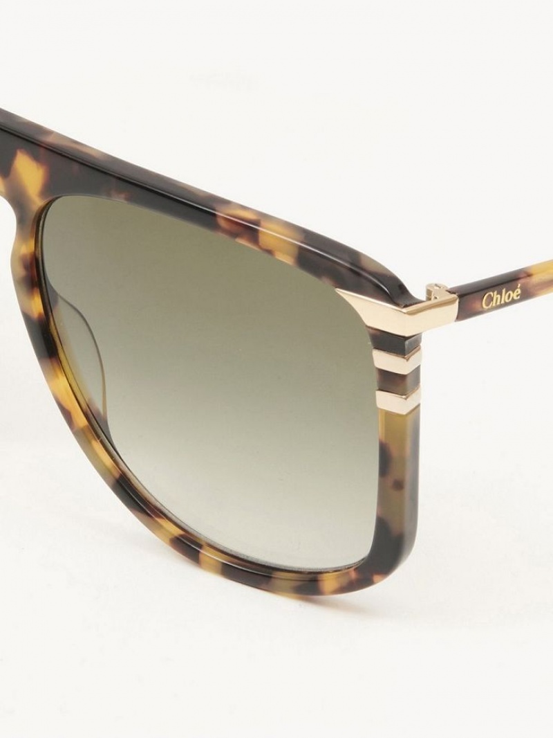 Lentes de Sol Chloe West Havana | CHE-SR14565