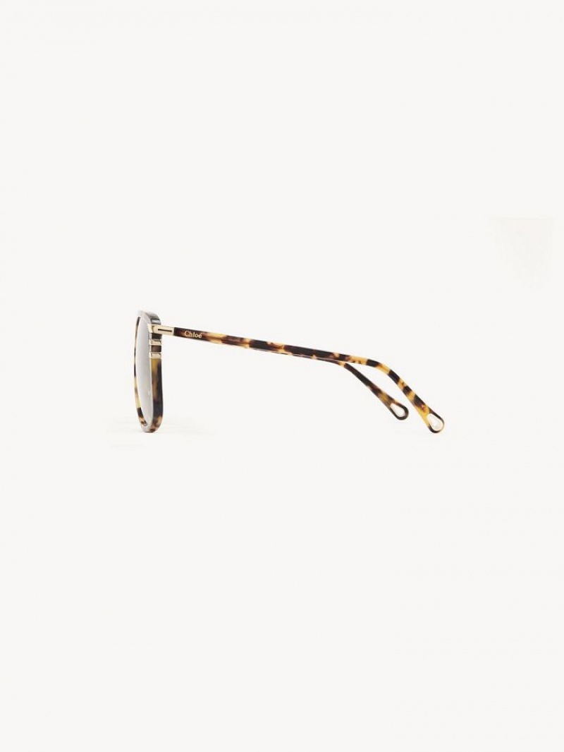 Lentes de Sol Chloe West Havana | CHE-SR14565