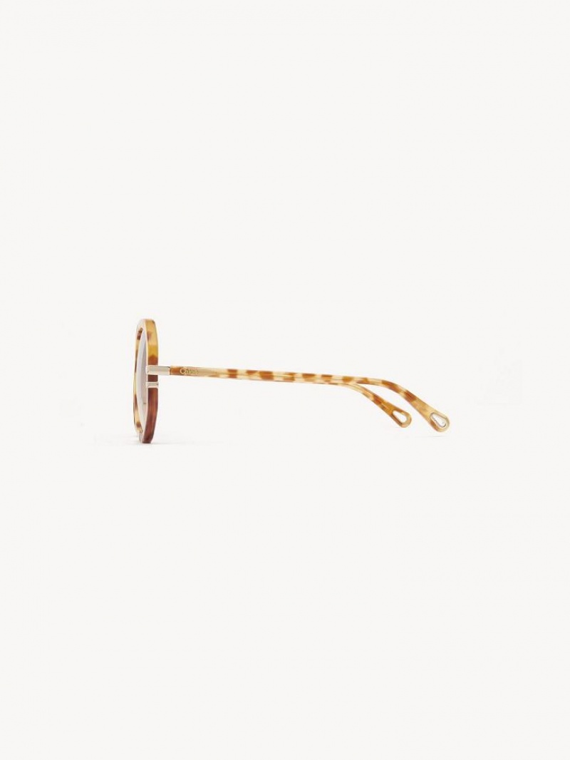 Lentes de Sol Chloe West Small Havana Patchwork | CHE-SR14518
