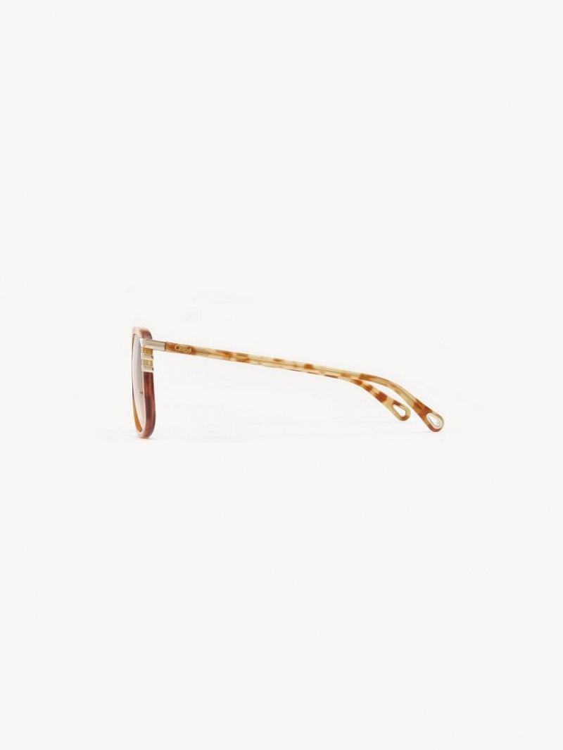 Lentes de Sol Chloe West Small Havana Patchwork | CHE-SR14521