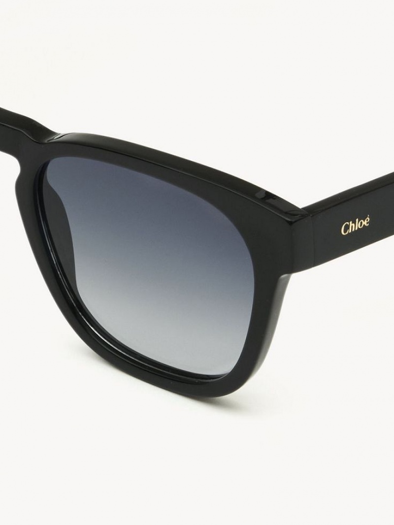 Lentes de Sol Chloe Xena Negros | CHE-SR14513