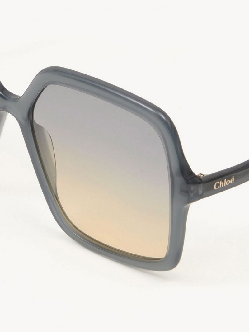 Lentes de Sol Chloe Zelie Grises | CHE-SR14552