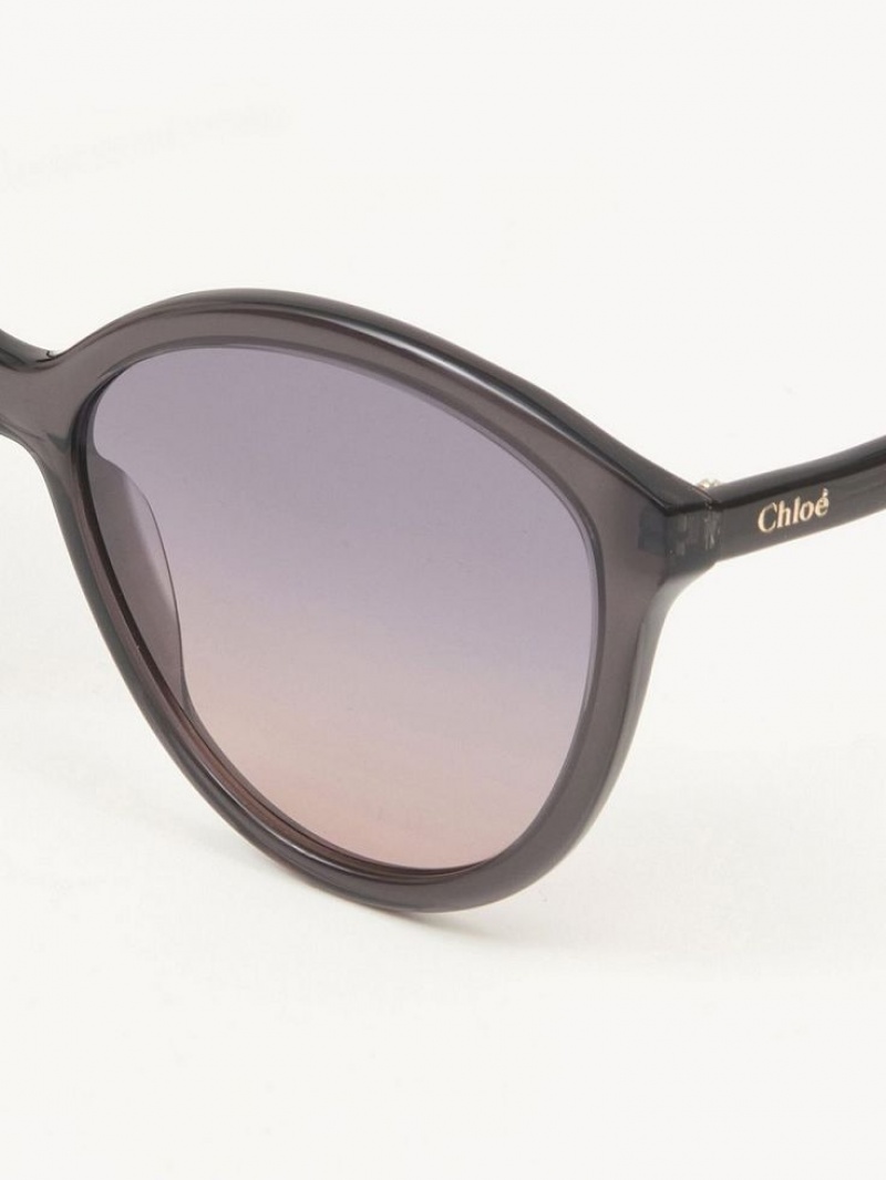 Lentes de Sol Chloe Zelie Grises | CHE-SR14557