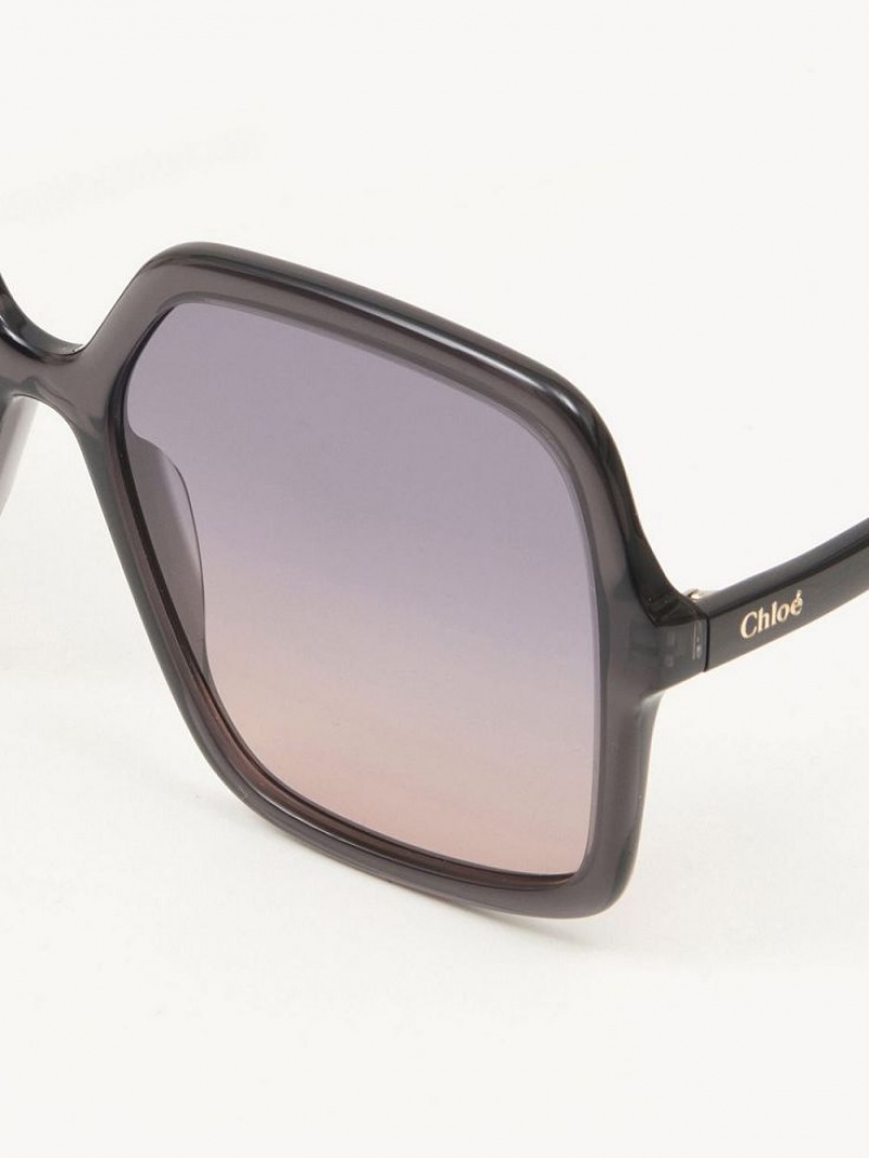 Lentes de Sol Chloe Zelie Grises | CHE-SR14561