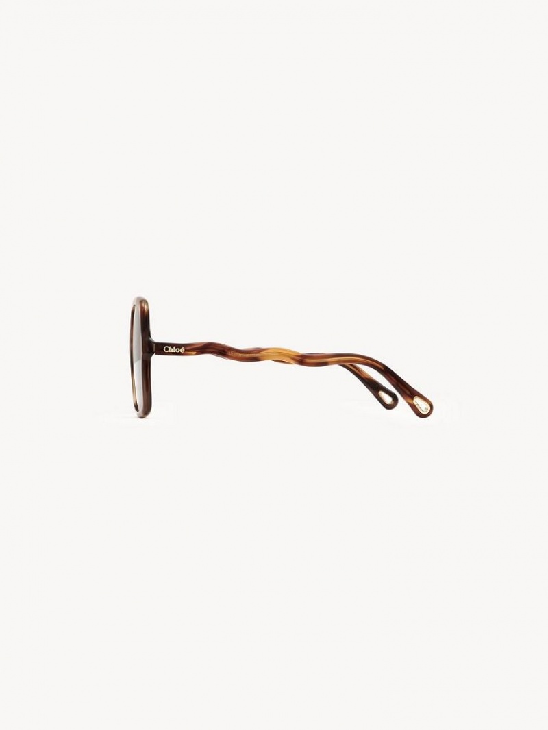 Lentes de Sol Chloe Zelie Marrom | CHE-SR14515