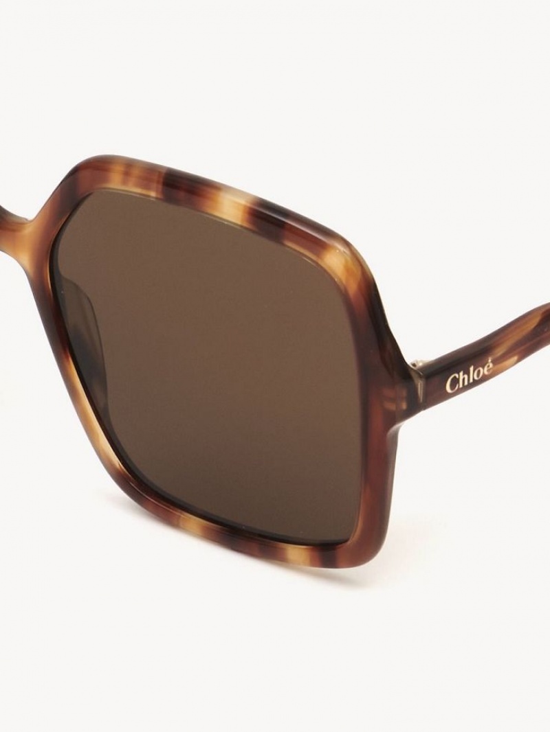 Lentes de Sol Chloe Zelie Marrom | CHE-SR14515