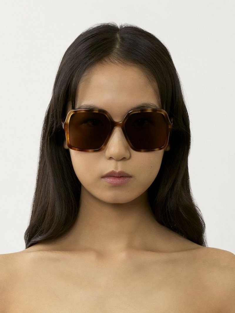 Lentes de Sol Chloe Zelie Marrom | CHE-SR14515