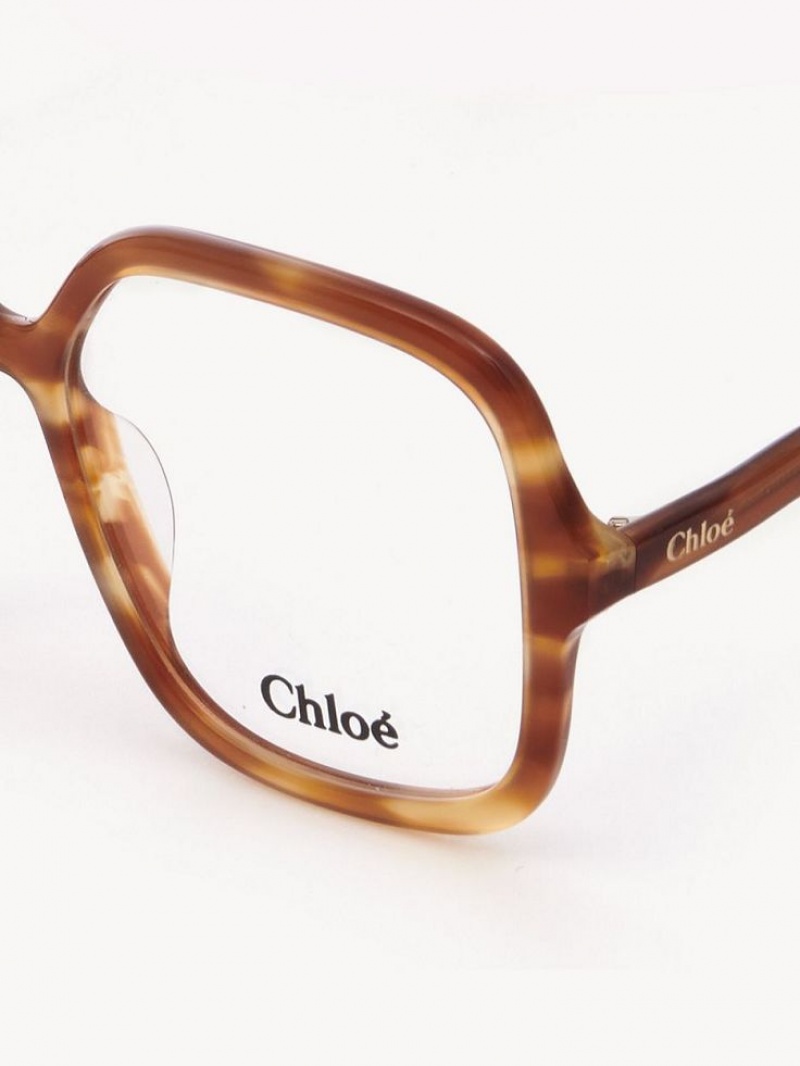 Los Anteojos Chloe Zelie Azules | CHE-SR14585