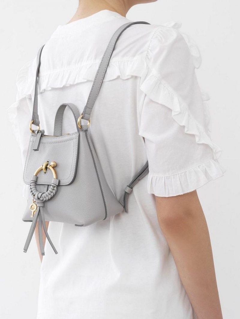 Mochilas Chloe Joan Grises | CHE-SR14792