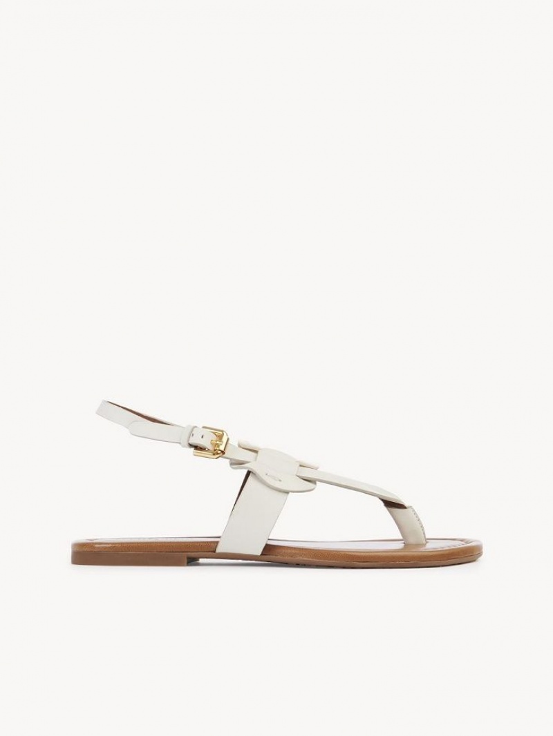 Sandalias Chloe Chany Blancos | CHE-SR14845