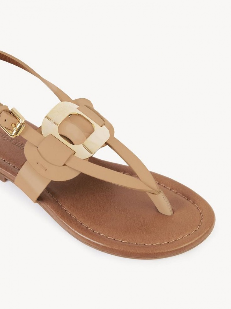 Sandalias Chloe Chany Marrom | CHE-SR14824