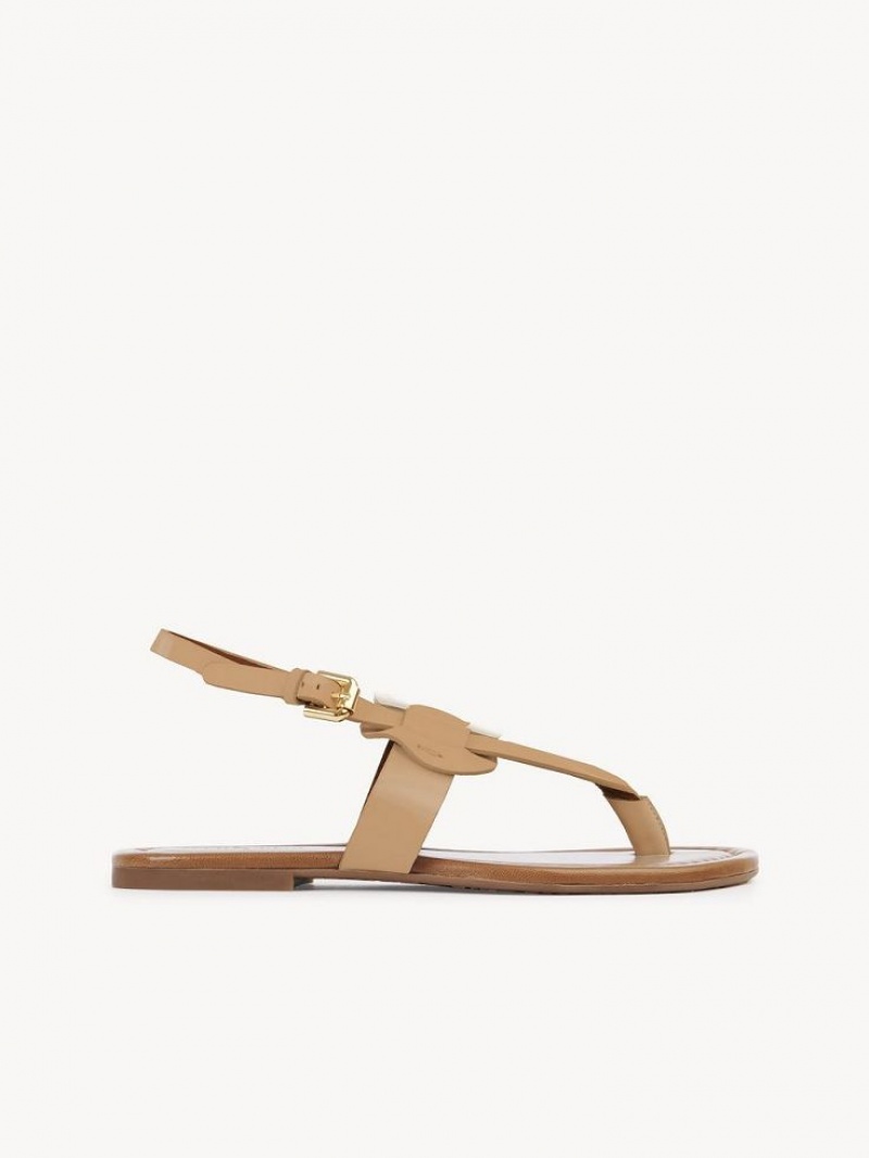 Sandalias Chloe Chany Marrom | CHE-SR14824