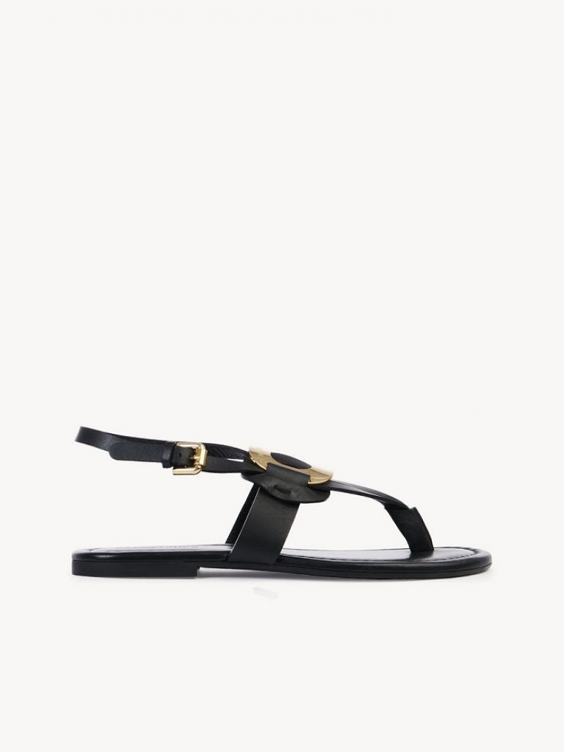 Sandalias Chloe Chany Negros | CHE-SR14844