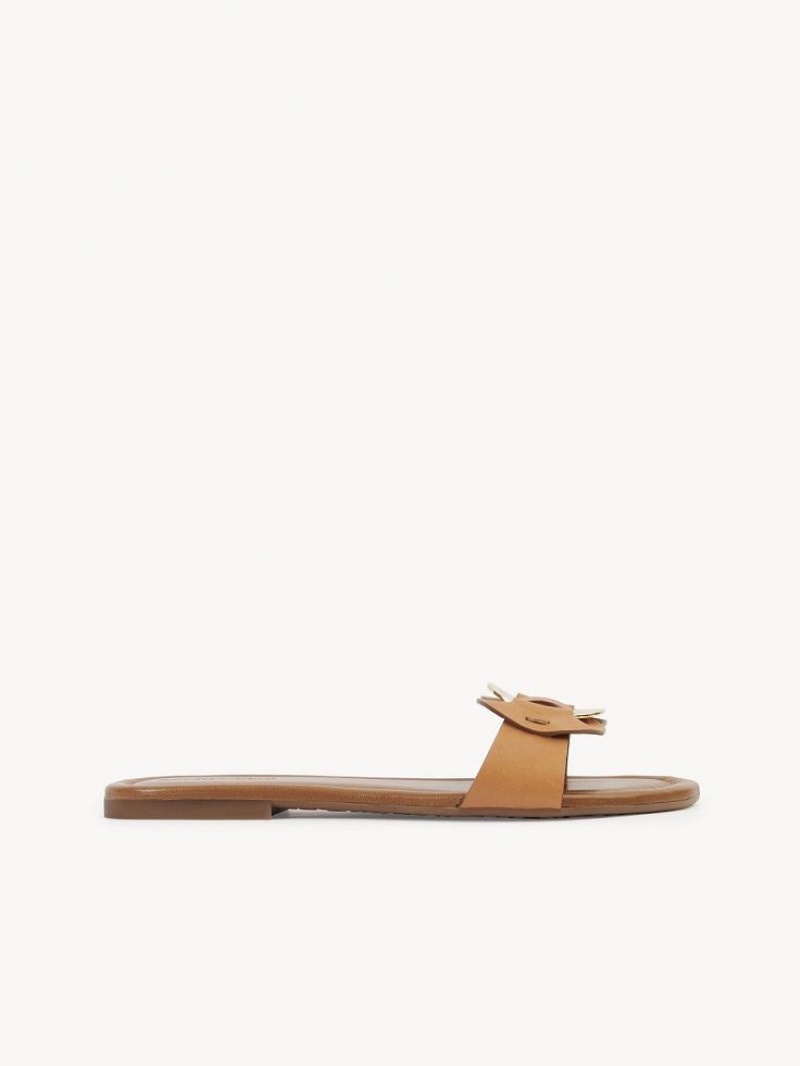 Tenis Planos Chloe Chany Mule Marrom | CHE-SR14837