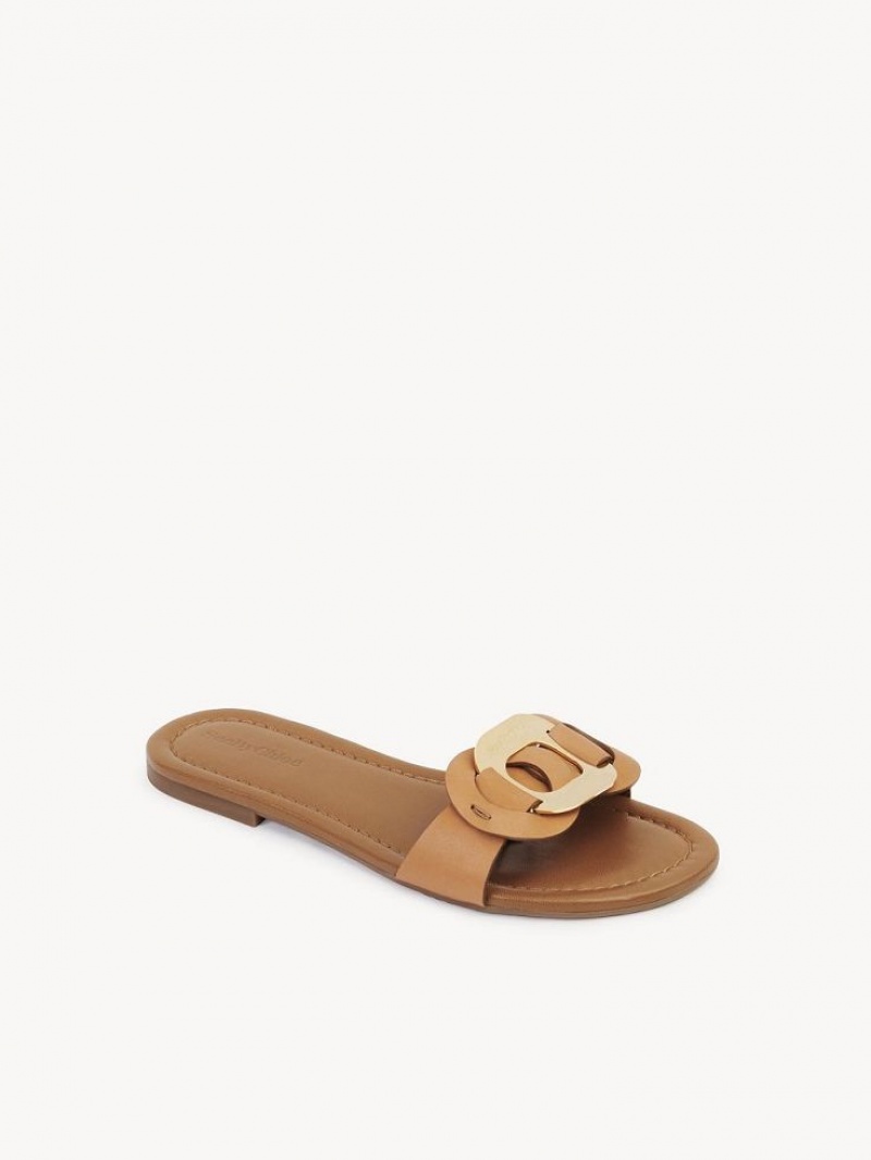 Tenis Planos Chloe Chany Mule Marrom | CHE-SR14837