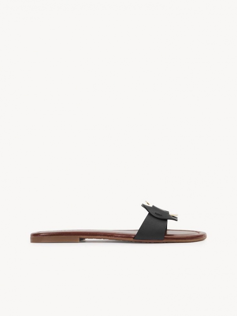 Tenis Planos Chloe Chany Mule Negros | CHE-SR14838