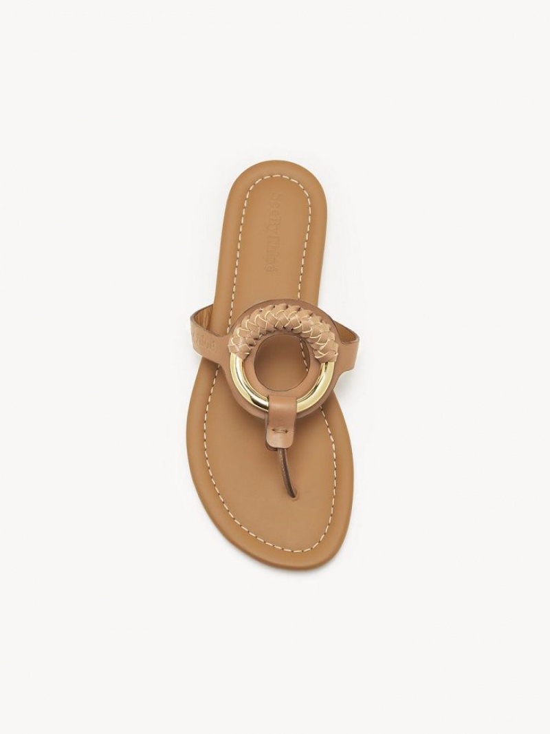 Tenis Planos Chloe Hana Flip-flop Marrom | CHE-SR14818