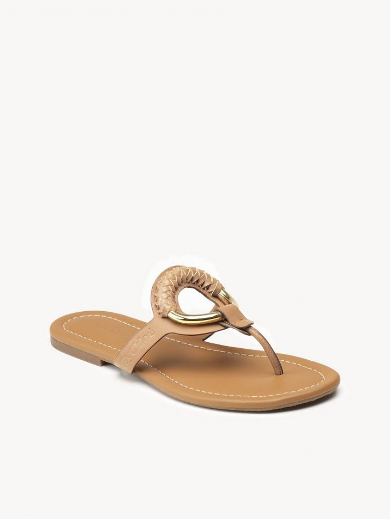 Tenis Planos Chloe Hana Flip-flop Marrom | CHE-SR14818