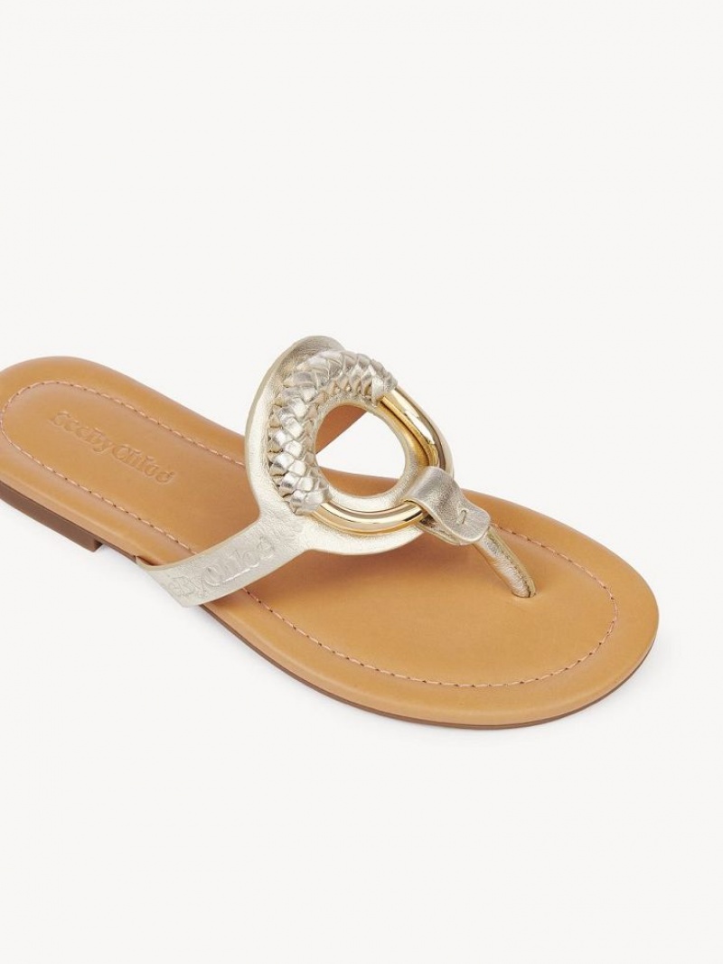 Tenis Planos Chloe Hana Flip-flop Plateados | CHE-SR14829