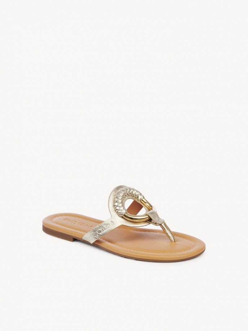 Tenis Planos Chloe Hana Flip-flop Plateados | CHE-SR14829
