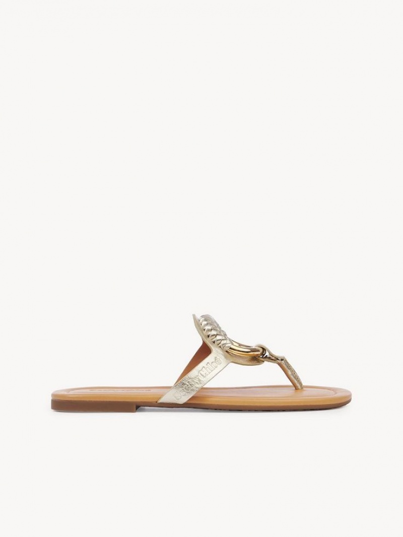 Tenis Planos Chloe Hana Flip-flop Plateados | CHE-SR14829